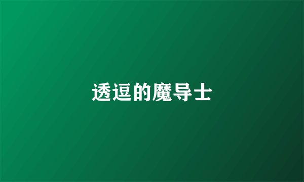透逗的魔导士