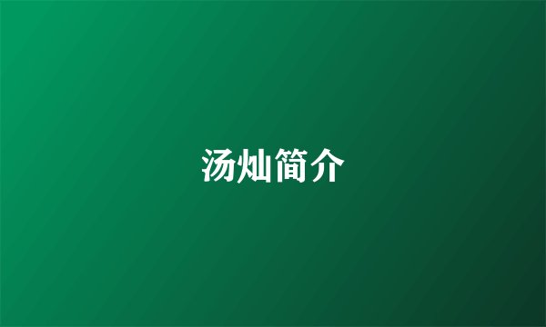 汤灿简介