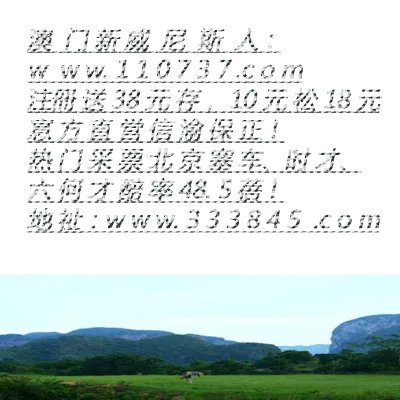 台湾体育赛事直播平台