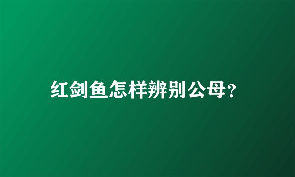 红剑鱼怎样辨别公母？