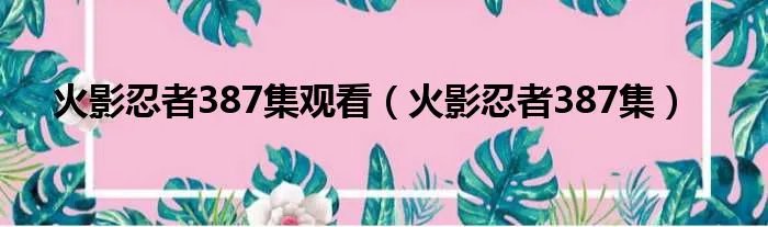 火影忍者387集观看(火影忍者387集)