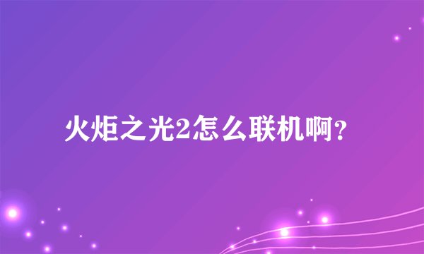 火炬之光2怎么联机啊？