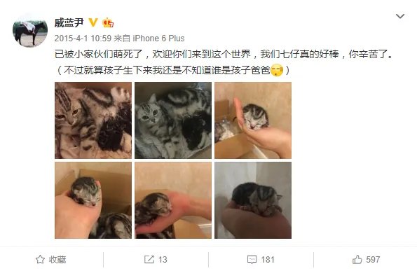 若风七夕求婚成功 这比台风来的更猛烈