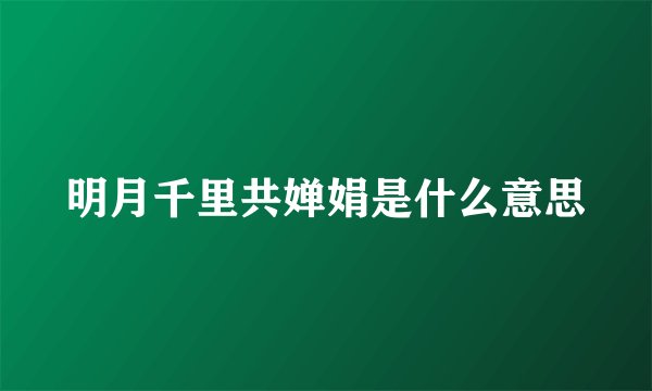 明月千里共婵娟是什么意思