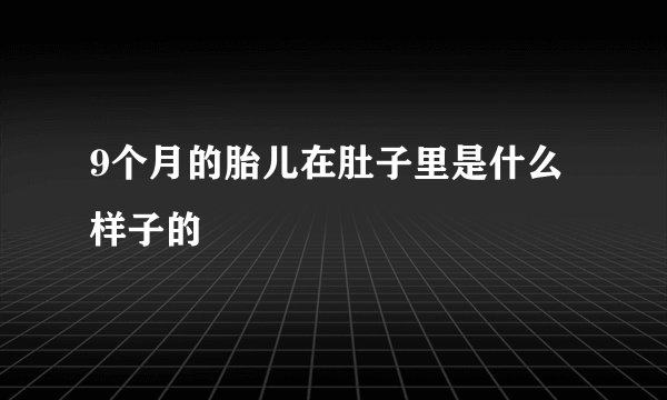 9个月的胎儿在肚子里是什么样子的