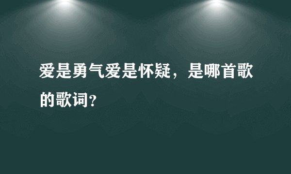 爱是勇气爱是怀疑,是哪首歌的歌词?