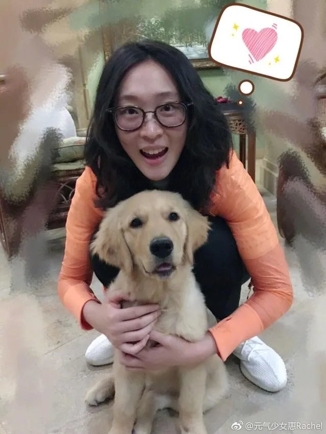惠若琪退役了吗?