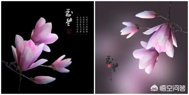 如何利用手机app让一张照片“起死回生”?