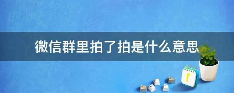 微信群里拍了拍是什么意思