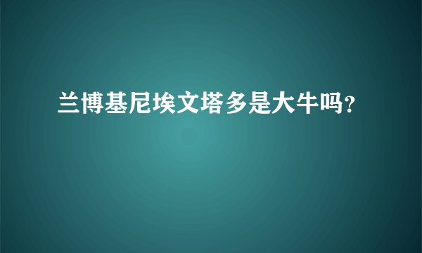 兰博基尼埃文塔多是大牛吗？