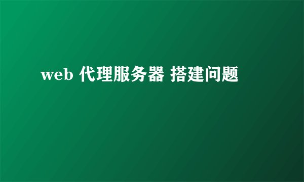 web 代理服务器 搭建问题