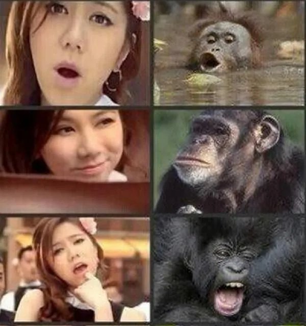 明星都代言过哪些奇葩东西?