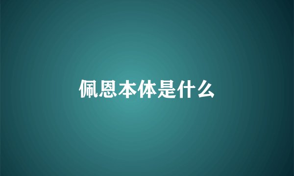 佩恩本体是什么