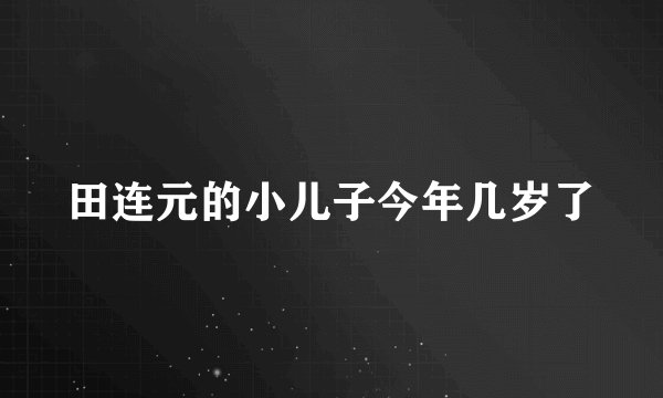 田连元的小儿子今年几岁了