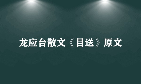 龙应台散文《目送》原文