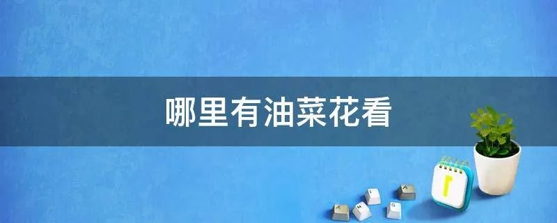 哪里有油菜花看