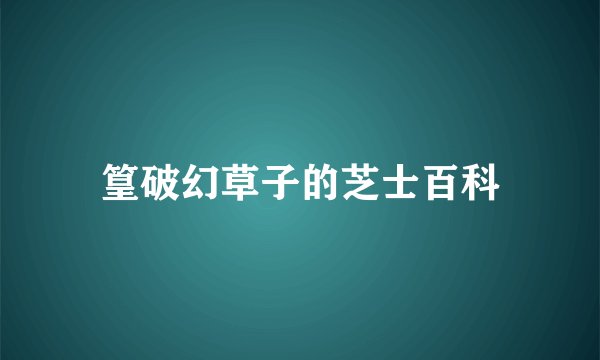 篁破幻草子的芝士百科
