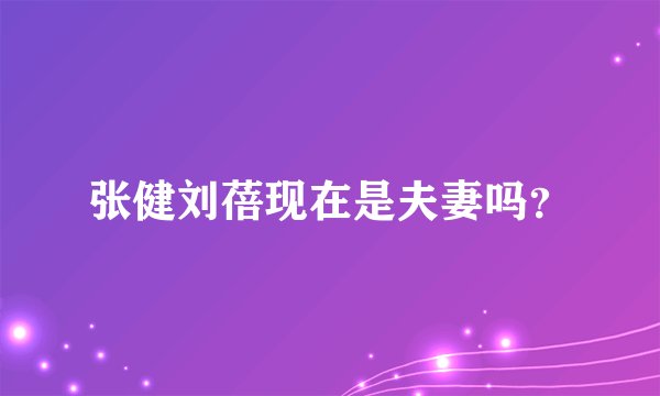 张健刘蓓现在是夫妻吗？