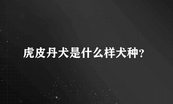 虎皮丹犬是什么样犬种？