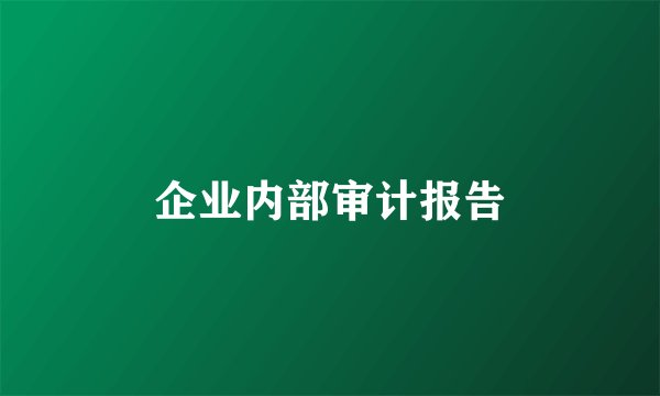 企业内部审计报告