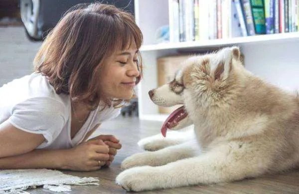 为什么很多人喜欢养宠物?