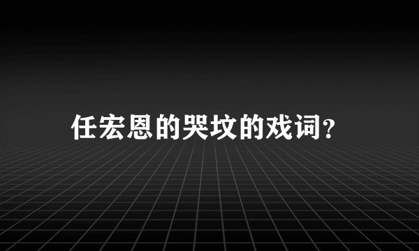 任宏恩的哭坟的戏词?