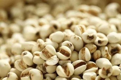 9个月宝宝咳嗽有痰食疗