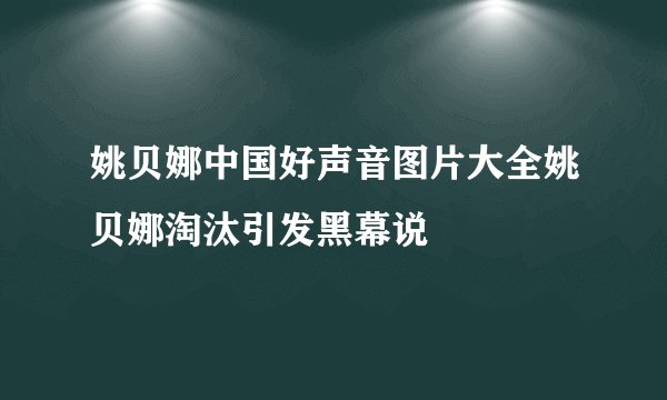 姚贝娜中国好声音图片大全姚贝娜淘汰引发黑幕说