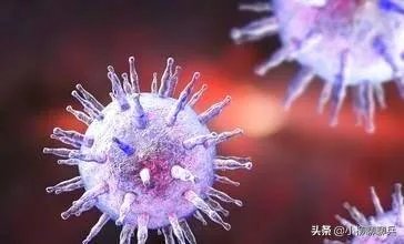 如何看美新闻媒体要求政府就解散和关闭德特里克堡进行全面解释呢?