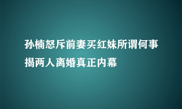 孙楠怒斥前妻买红妹所谓何事揭两人离婚真正内幕