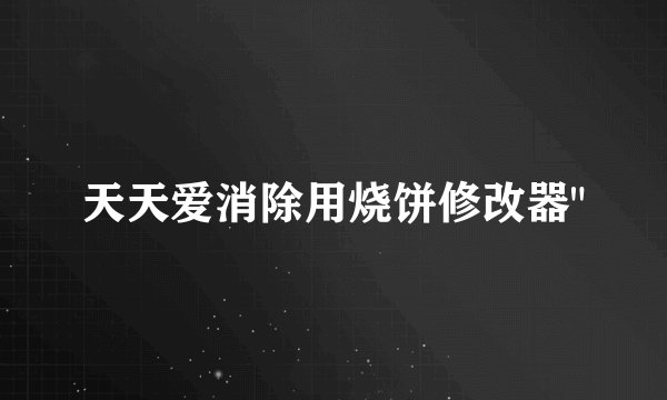 天天爱消除用烧饼修改器