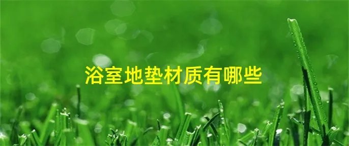 浴室地垫材质有哪些