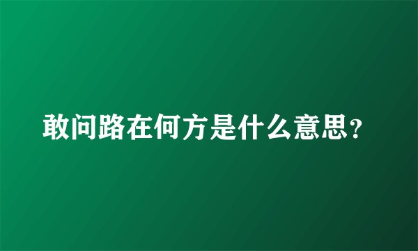 敢问路在何方是什么意思？
