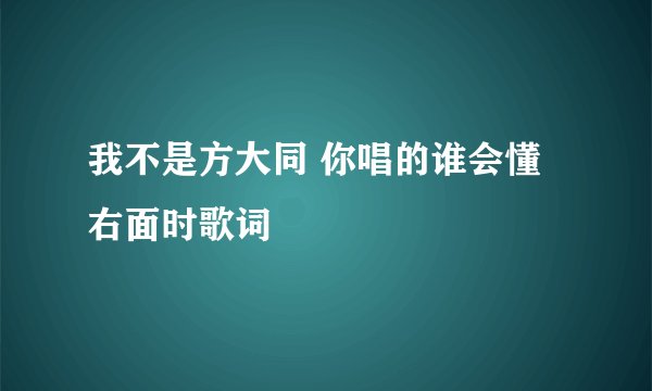 我不是方大同 你唱的谁会懂 右面时歌词