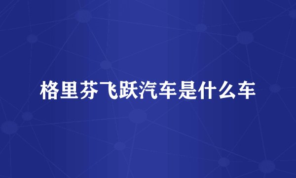 格里芬飞跃汽车是什么车