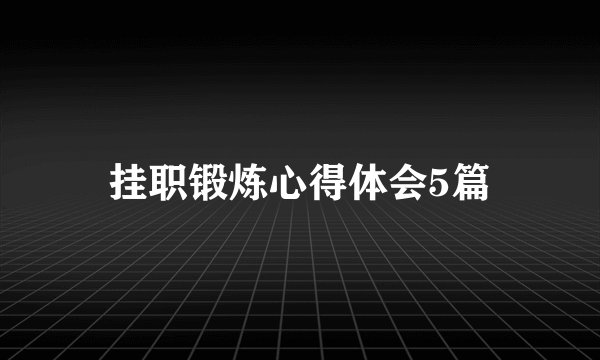 挂职锻炼心得体会5篇