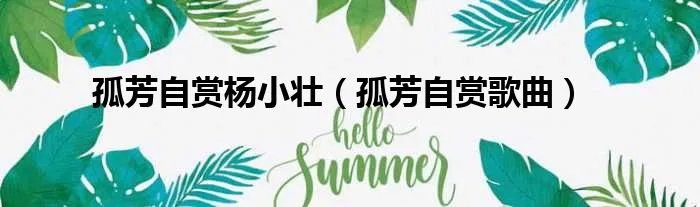 孤芳自赏杨小壮（孤芳自赏歌曲）