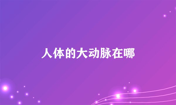 人体的大动脉在哪