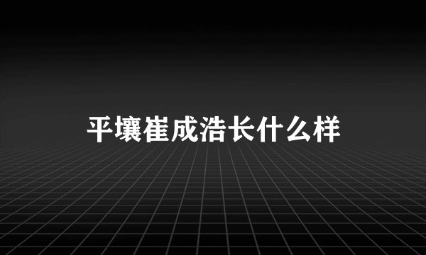 平壤崔成浩长什么样