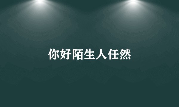 你好陌生人任然
