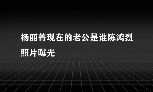 杨丽菁现在的老公是谁陈鸿烈照片曝光