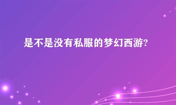 是不是没有私服的梦幻西游?