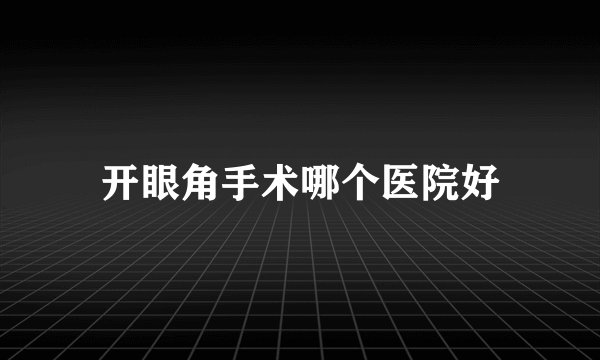 开眼角手术哪个医院好