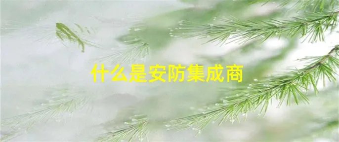 什么是安防集成商