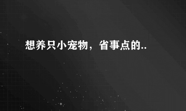 想养只小宠物，省事点的..