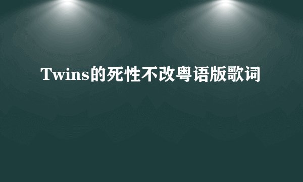 Twins的死性不改粤语版歌词