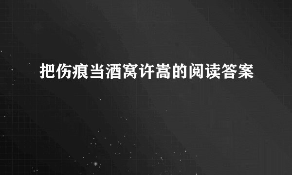 把伤痕当酒窝许嵩的阅读答案