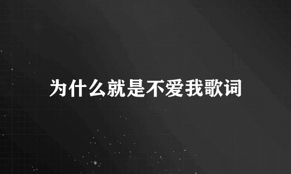 为什么就是不爱我歌词