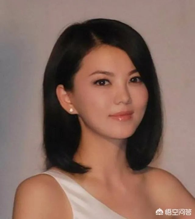 李湘到底有多厉害？你怎么看？