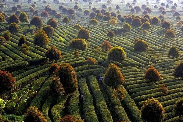 宜居
